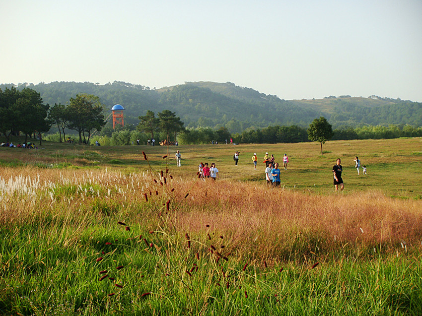 dsc01409_.jpg