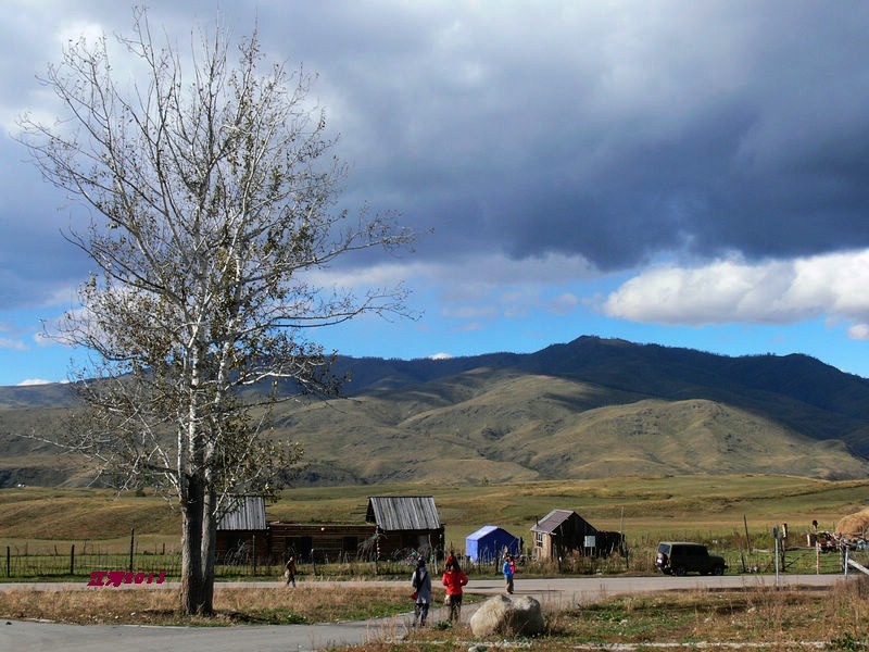 p1280544_1.jpg