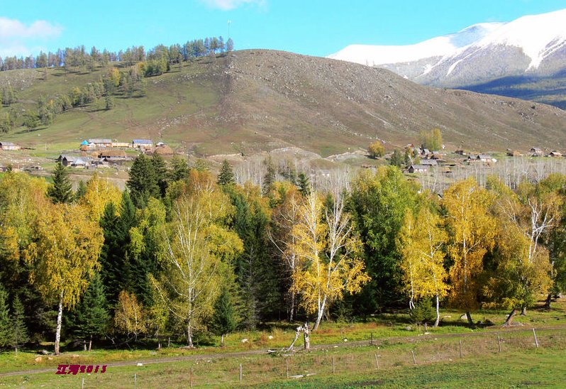 p1280550_1.jpg