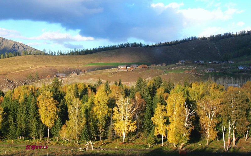 p1280606_1.jpg