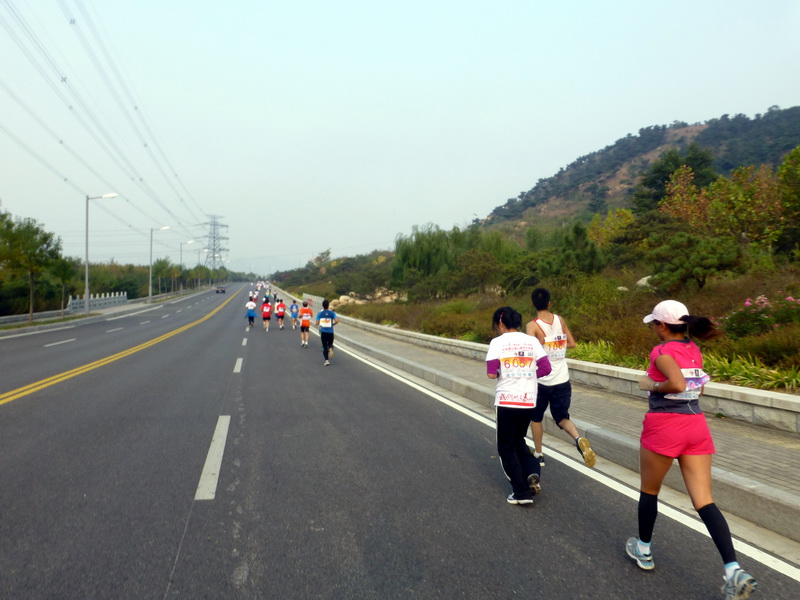 p1130508.jpg