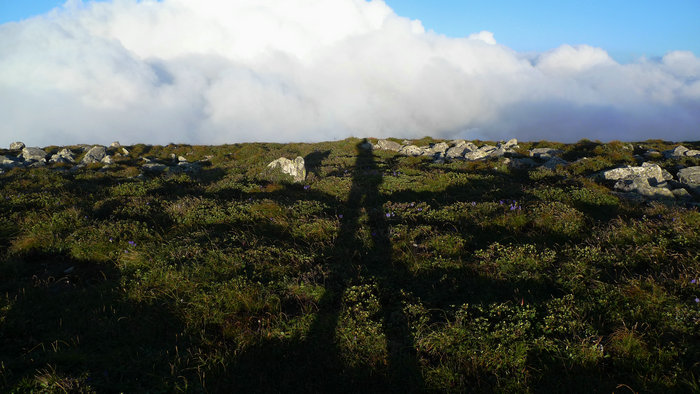 p2.jpg