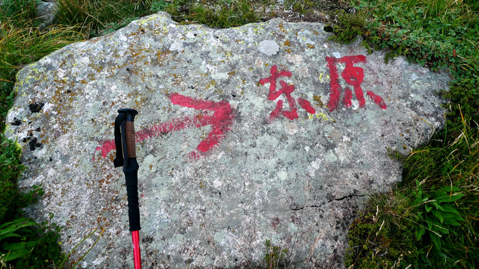p3.jpg