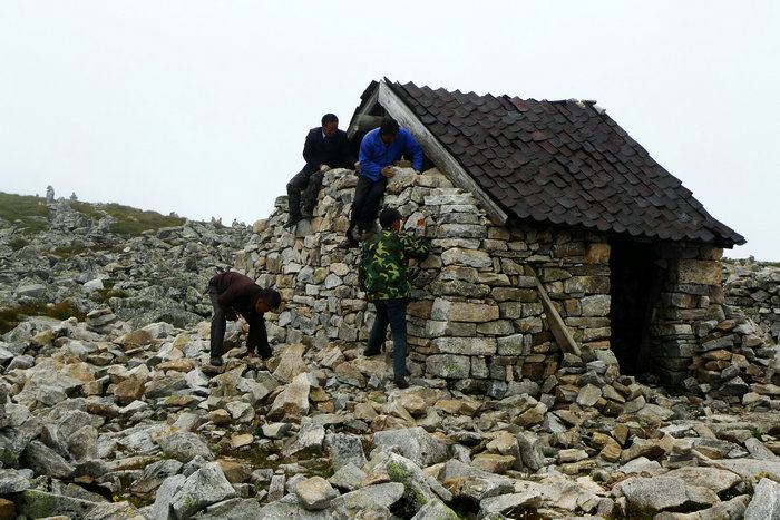 p6.jpg