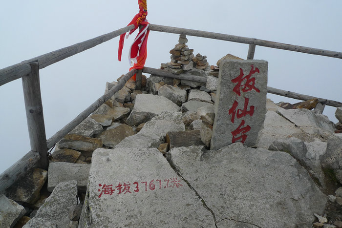 p9.jpg