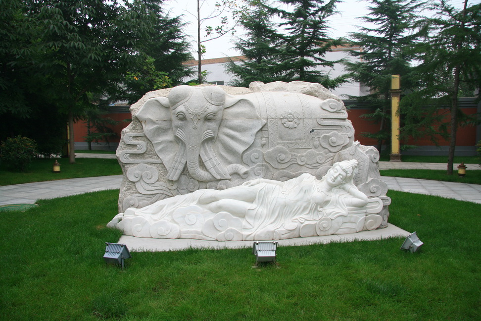 2639.jpg