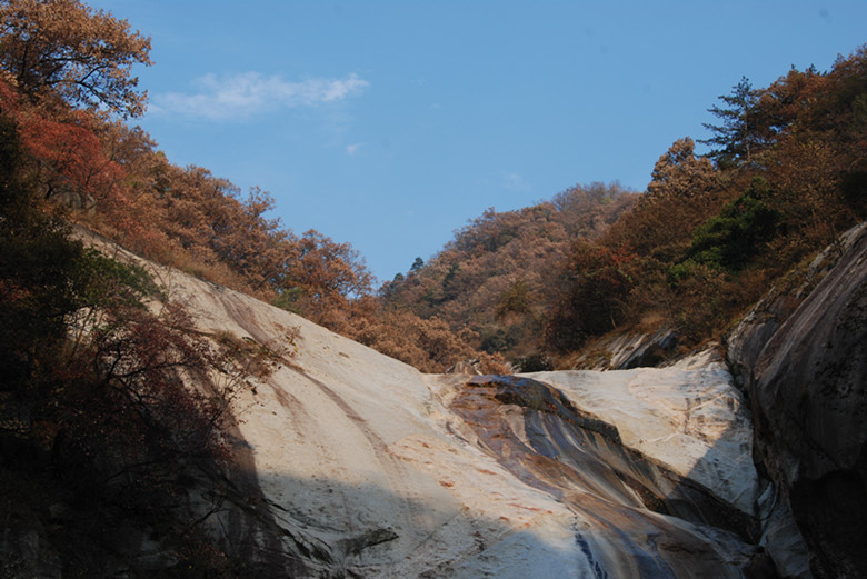 dsc_0261_.jpg