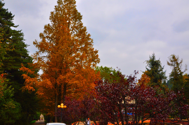 dsc_0240_.jpg