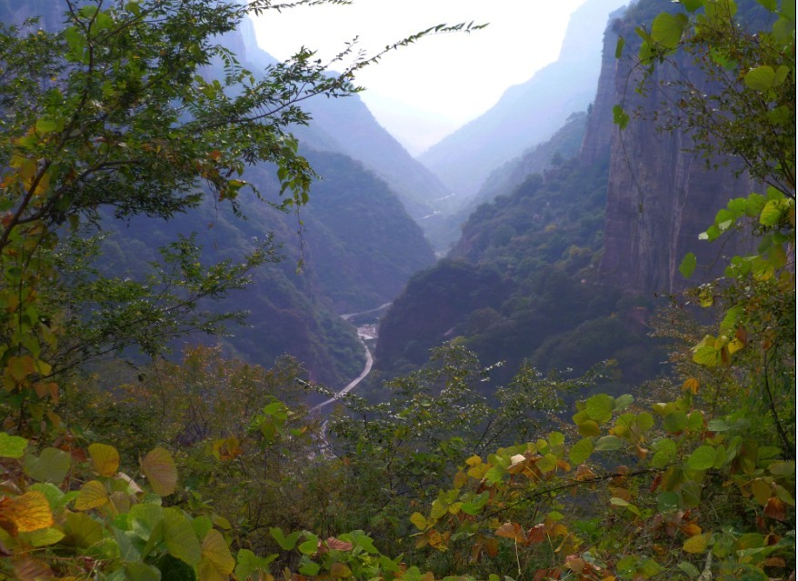 qqͼƬ20131024165820.jpg