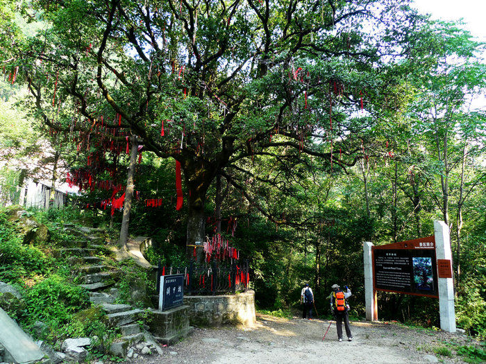 p12.jpg