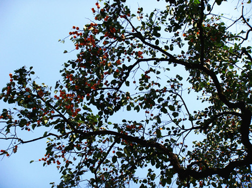 dsc01506__.jpg