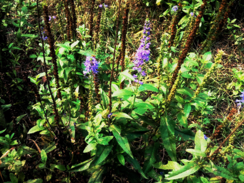 2013-10-05 12.01.33.jpg