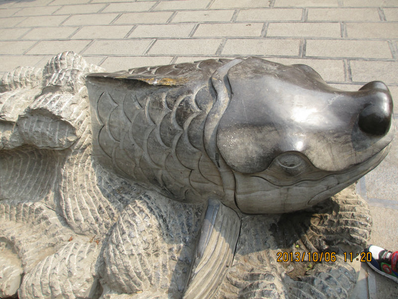  903.jpg