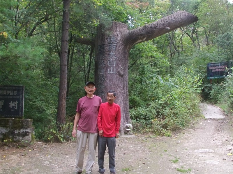 51.jpg