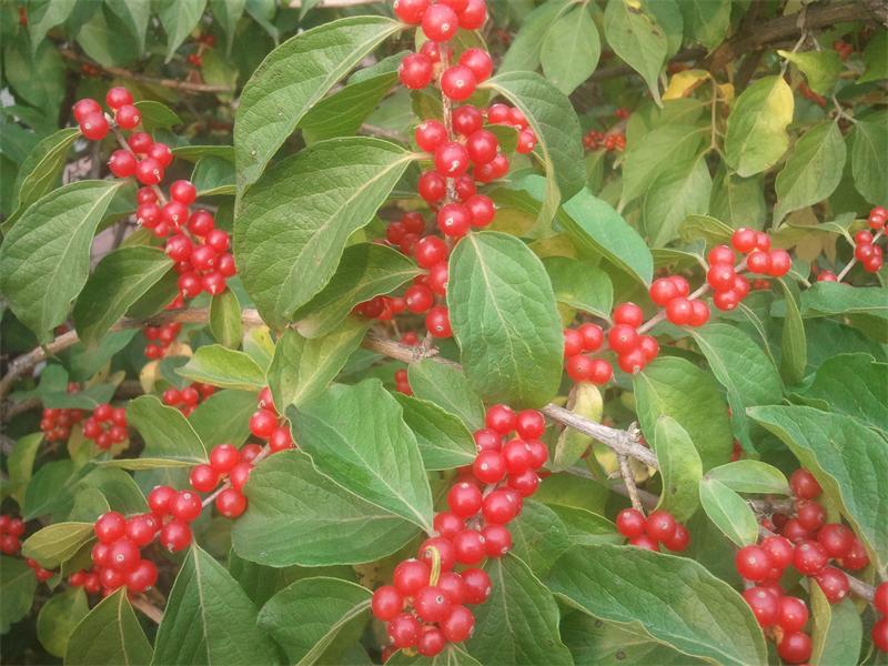 2013-10-05 09.34.17.jpg