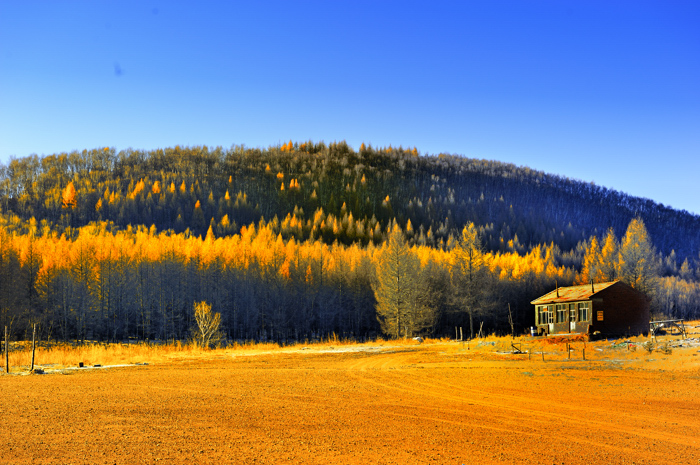 _dsc2565.jpg