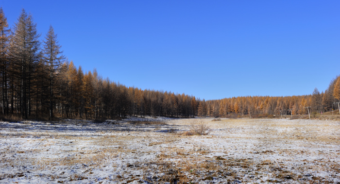 _dsc2581.jpg