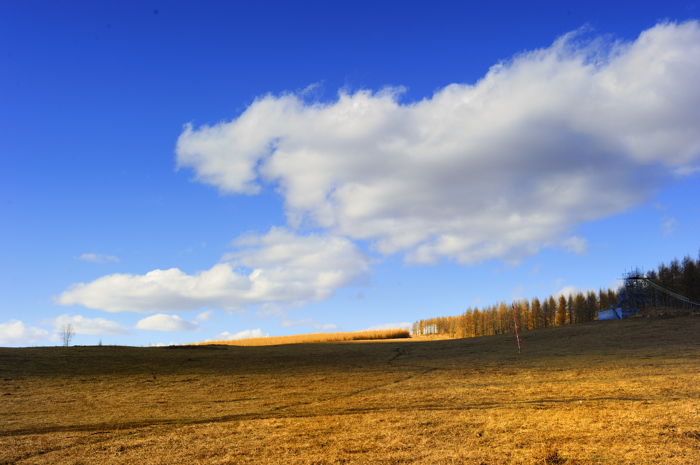 _dsc2683.jpg