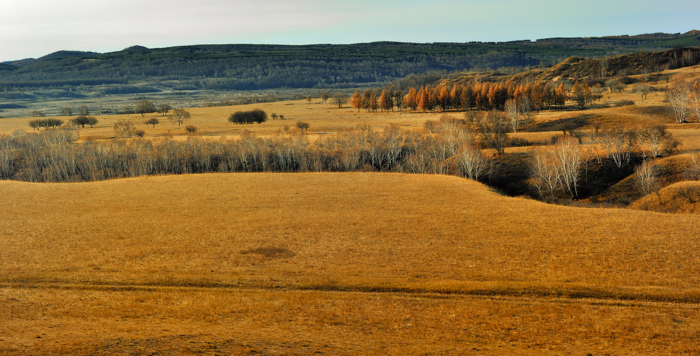 _dsc2792.jpg