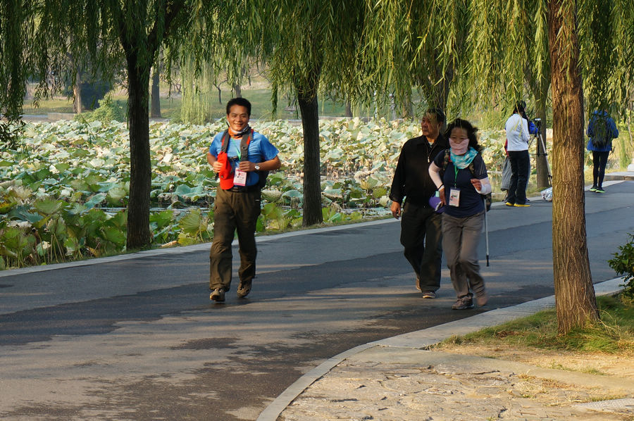 dsc06740.jpg