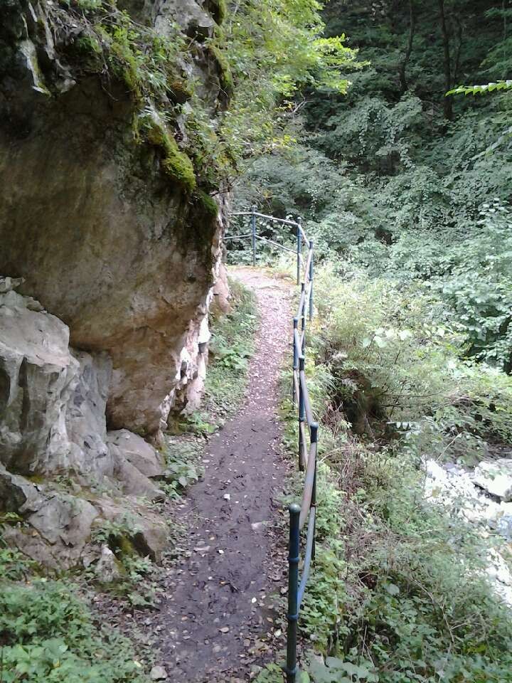 qqͼƬ20131027125652.jpg