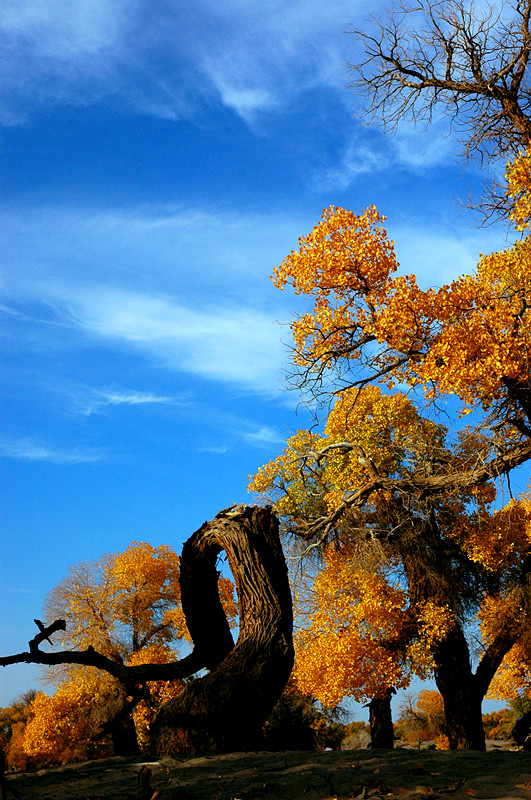 dsc_1081_.jpg