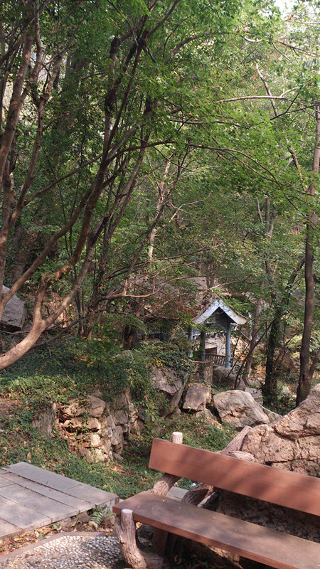 dsc_1444_.jpg