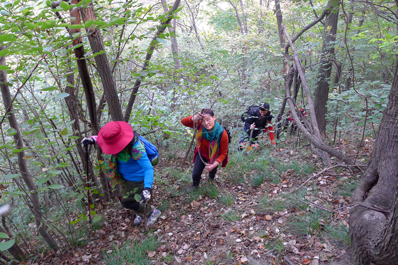 p1090987_.jpg