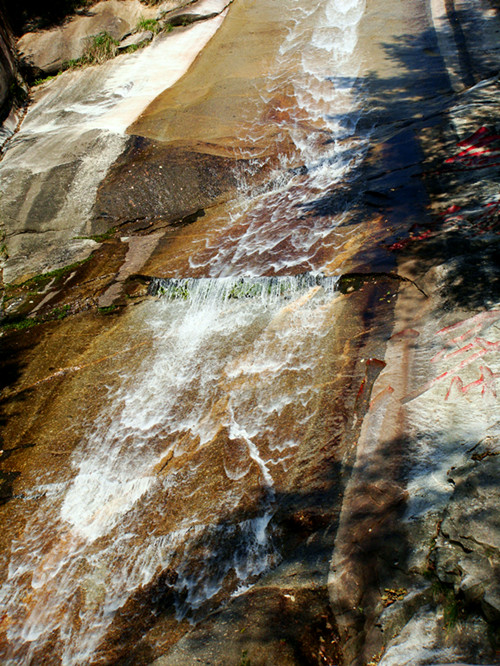 dsc01710_.jpg