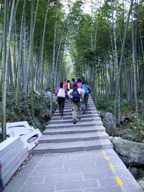 dsc01568_.jpg