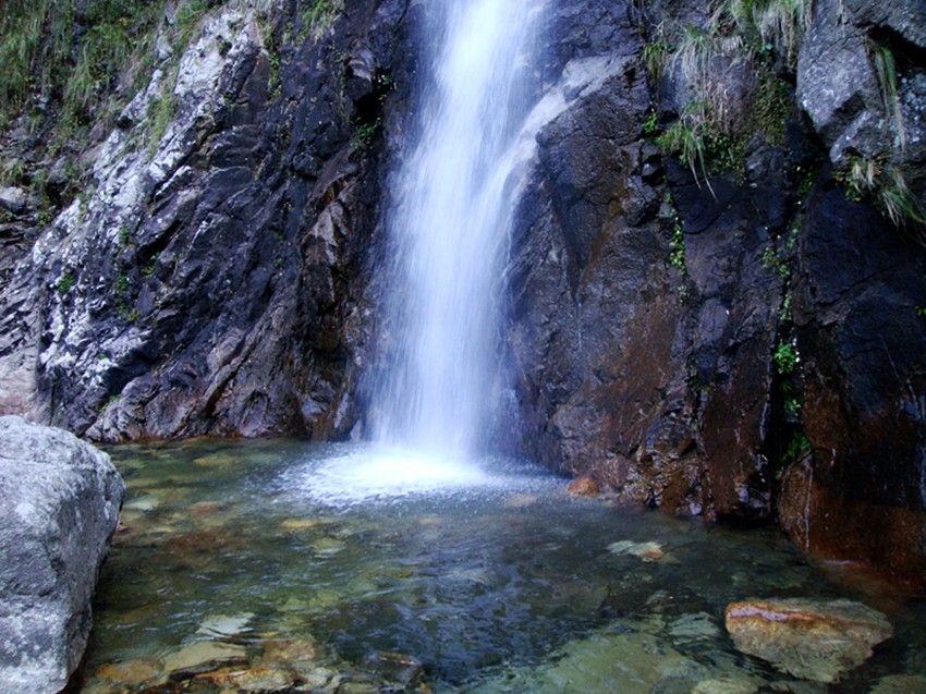 dsc01595_.jpg