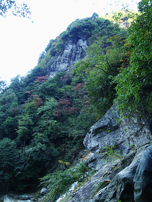 dsc01615_.jpg