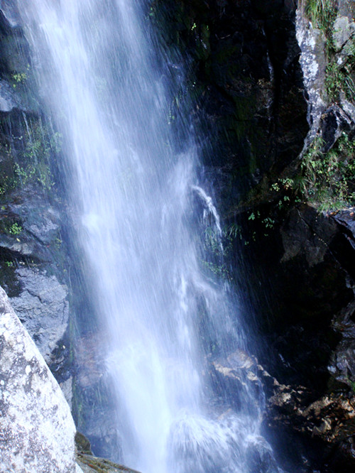 dsc01630_.jpg
