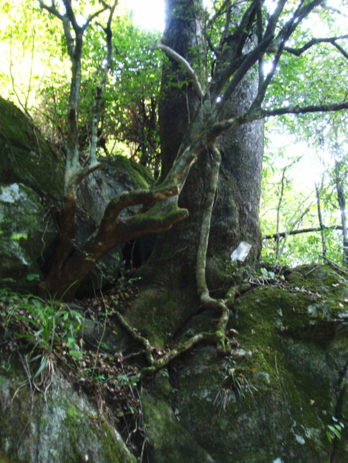 dsc01638_.jpg