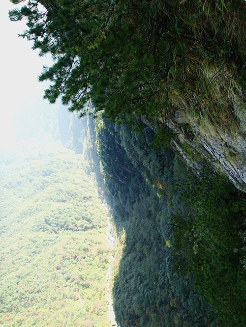 dsc01661_.jpg