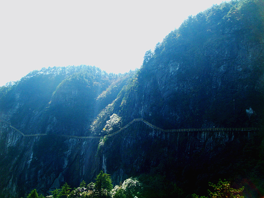 dsc01671_.jpg