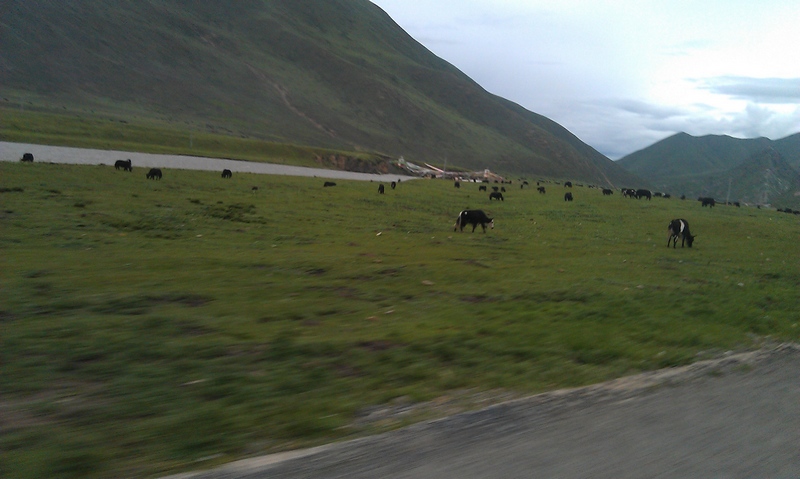 imag0413.jpg