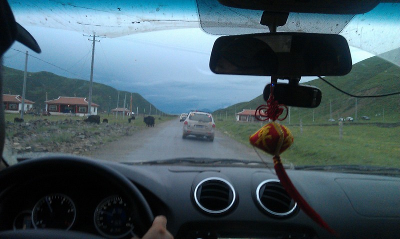 imag0433.jpg