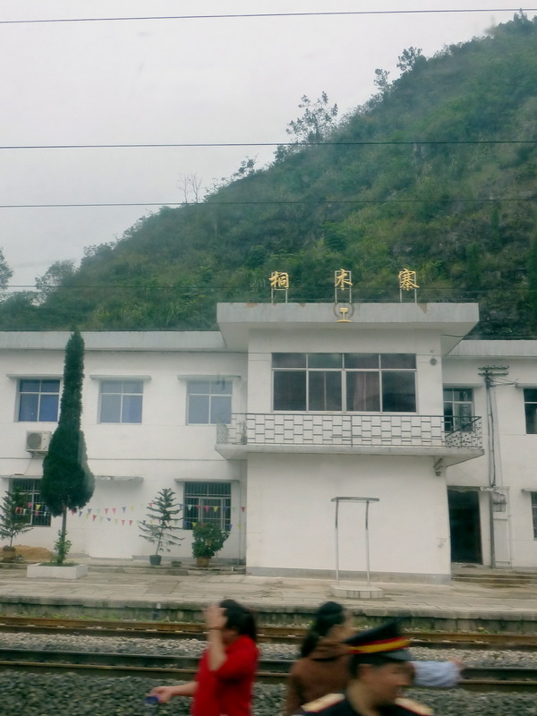 p1130798.jpg