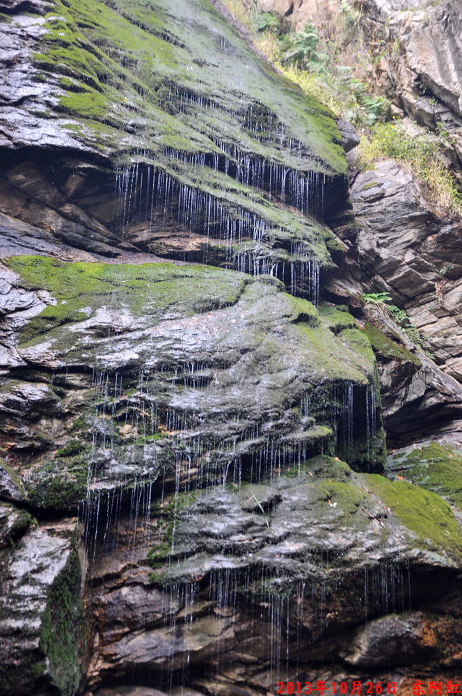 dsc_0843.jpg