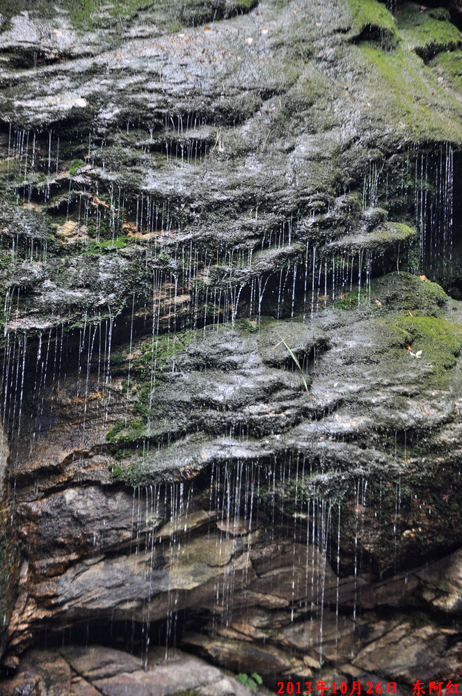 dsc_0844.jpg