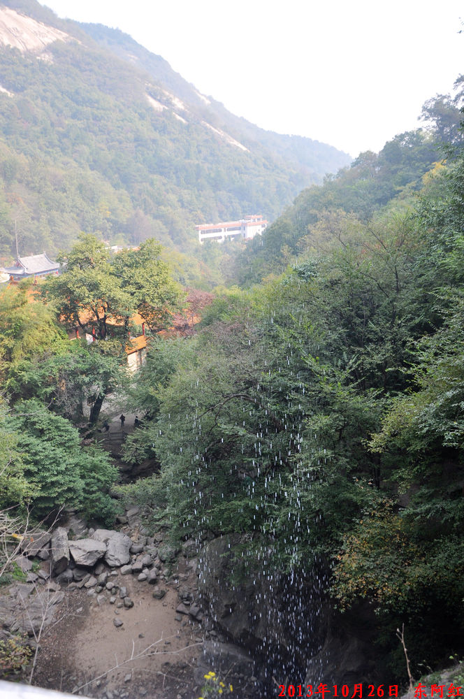 dsc_0866.jpg