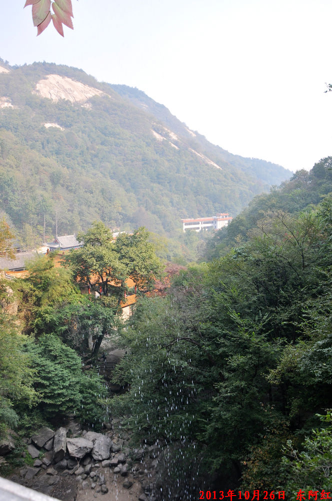 dsc_0869.jpg