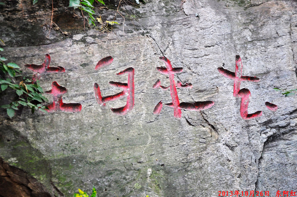 dsc_0903.jpg