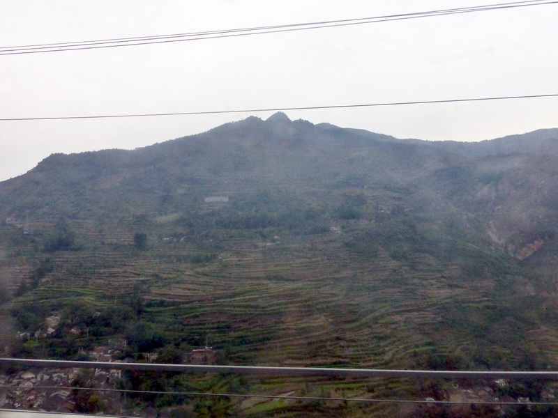 p1130830.jpg