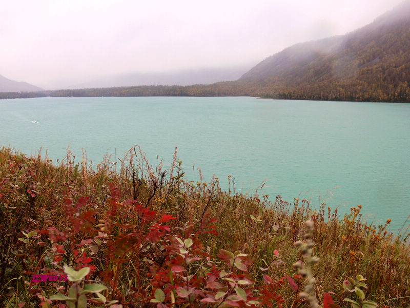 p1280746_1.jpg