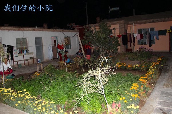 img_1311_.jpg
