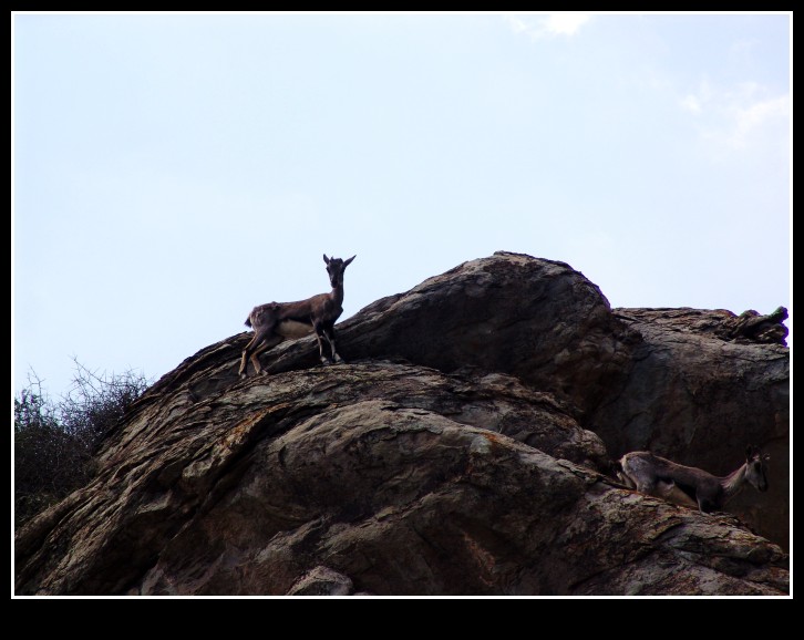 dsc09971_conew1.jpg