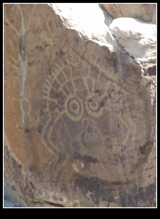 dsc09932_conew1.jpg