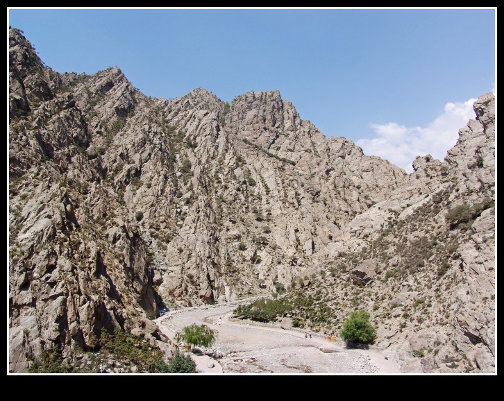 dsc09935_conew1.jpg